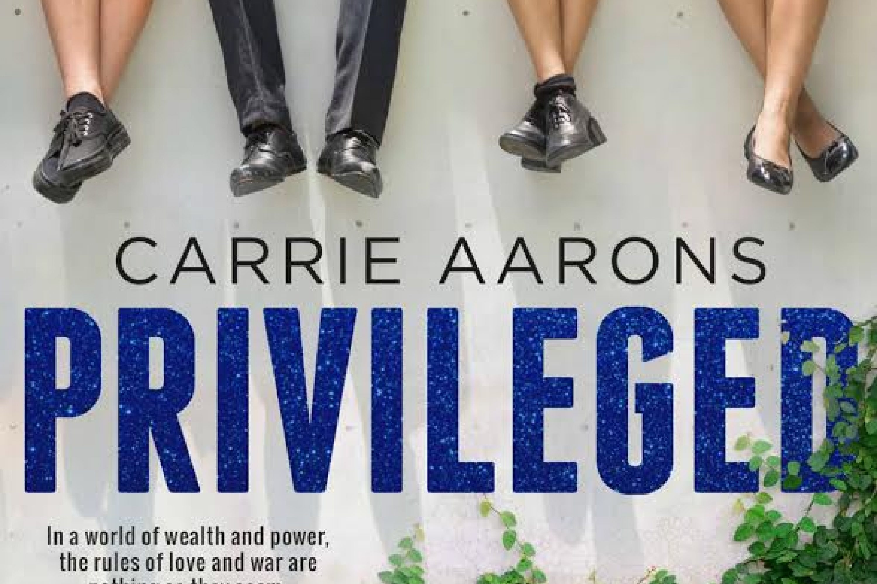 Release Day Blitz – Privileged by Carrie Aarons