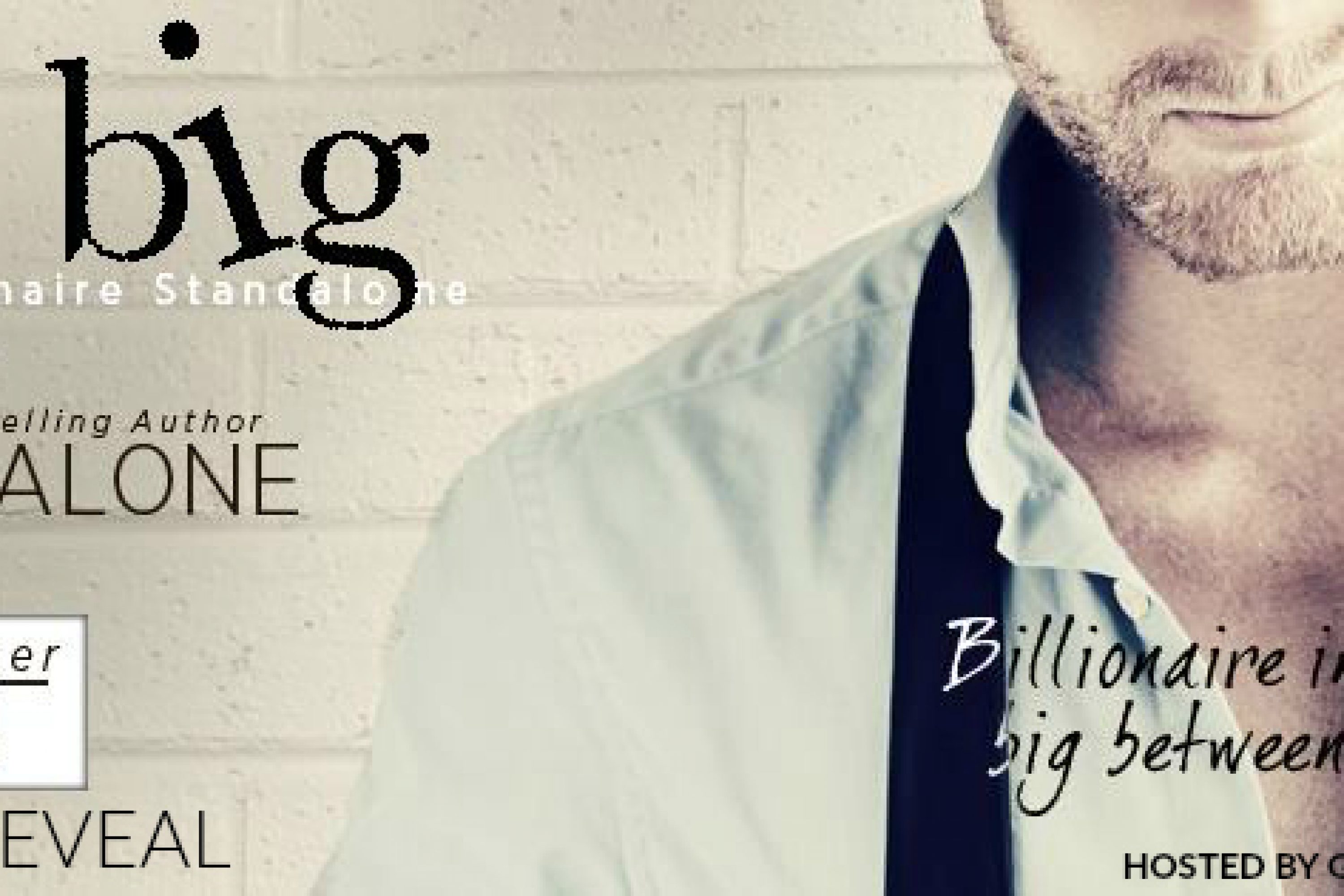Cover Reveal – Mr. Big by Nana Malone
