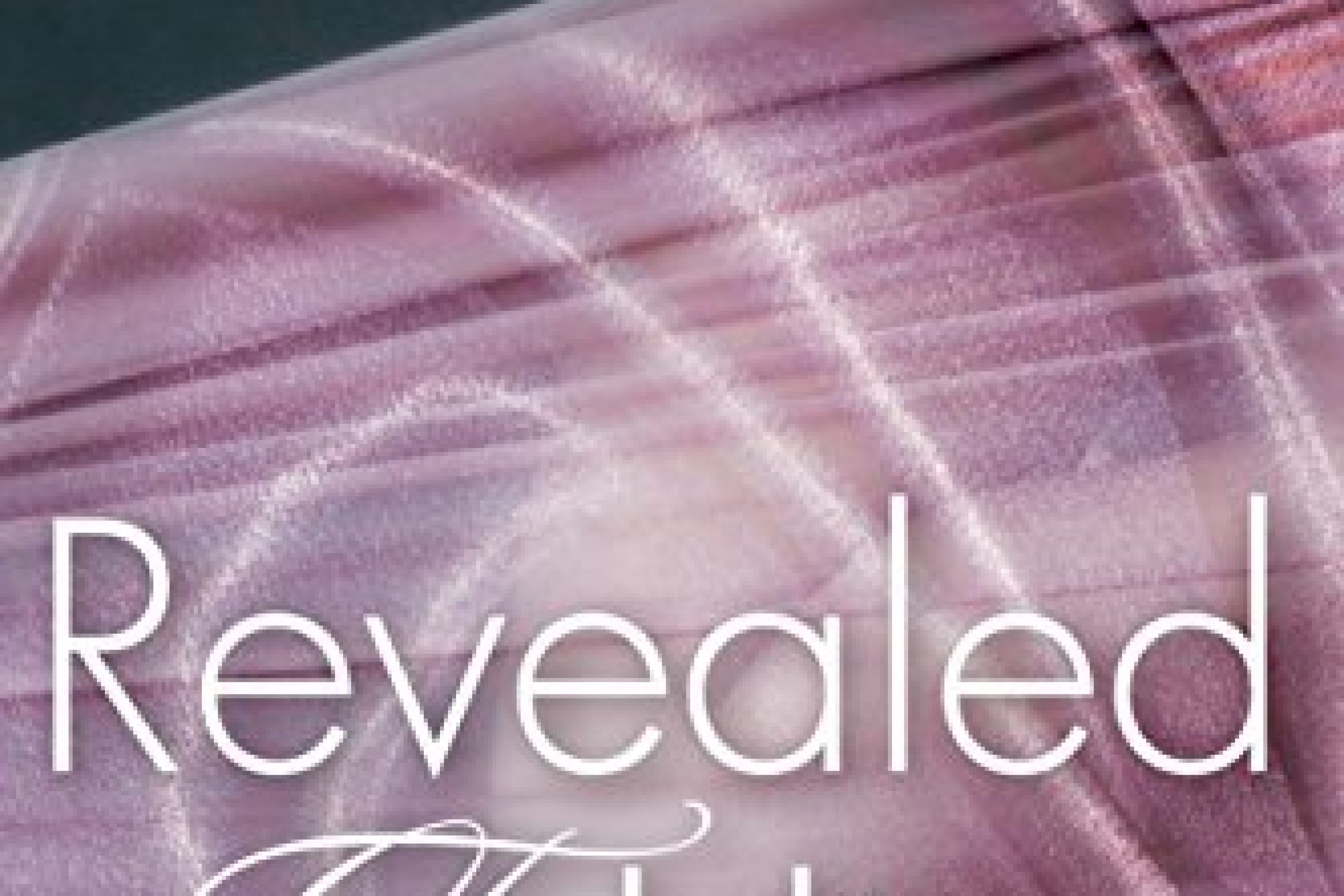 Sale: Revealed to Him by Jen Frederick