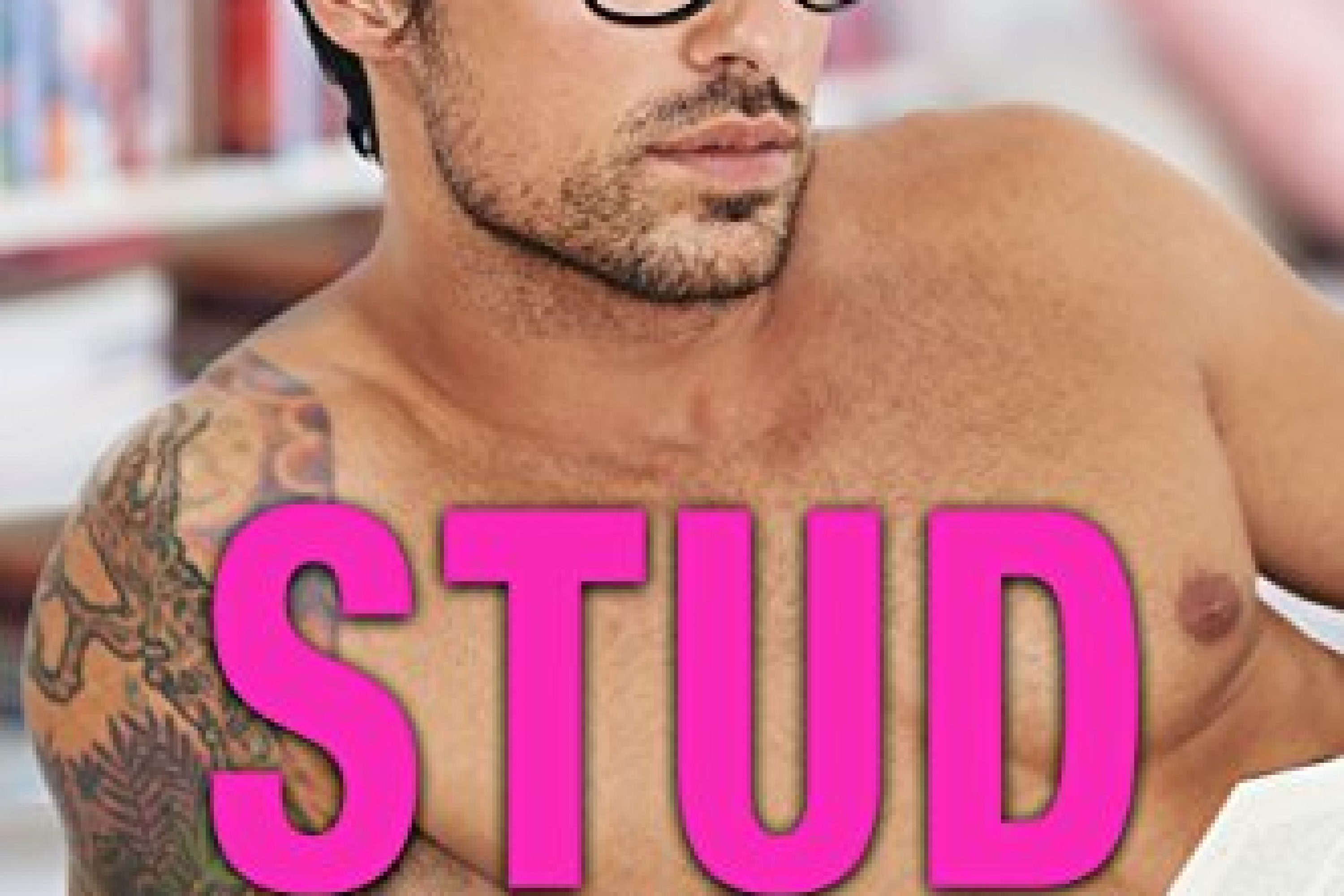 Review: Stud in the Stacks by Pippa Grant