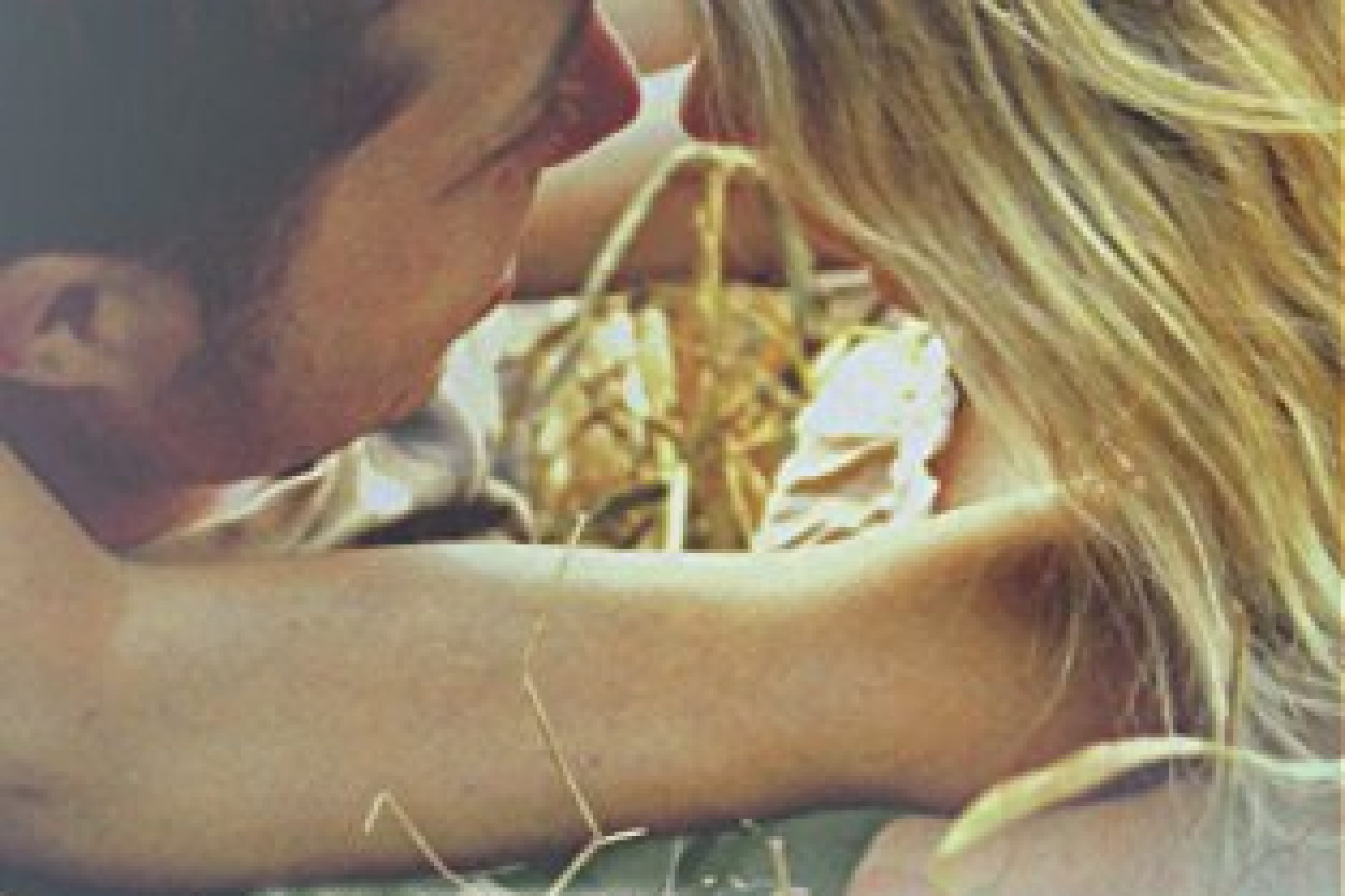 Review: An Uphill Battle by L.K. Farlow