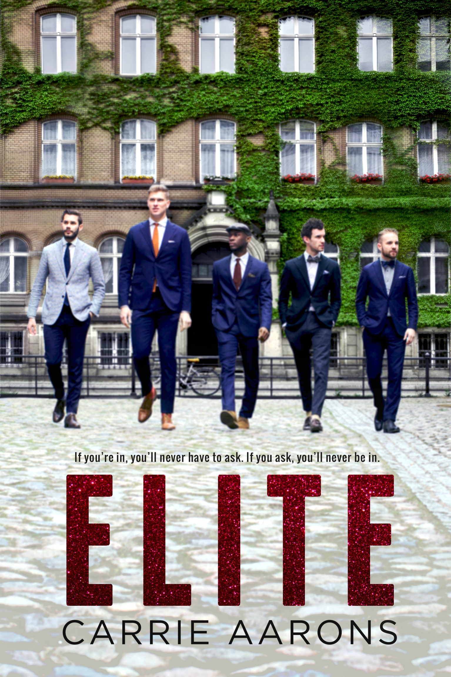 Review: Elite by Carrie Aarons