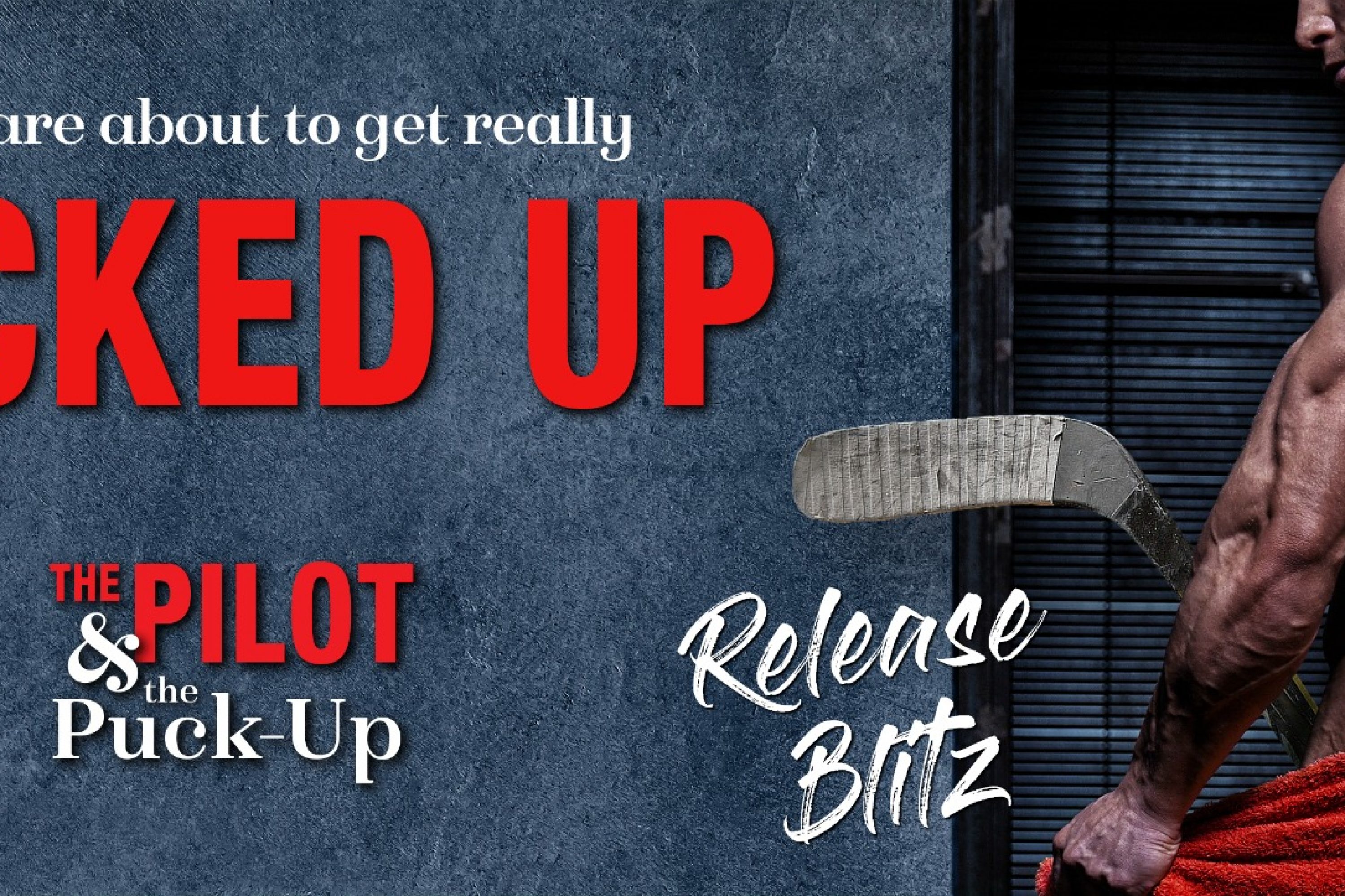 Release Blitz: The Pilot & the Puck Up by Pippa Grant