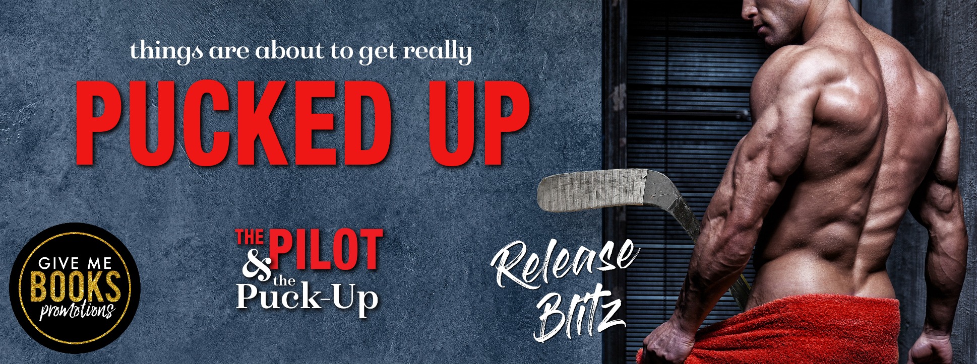 Release Blitz: The Pilot & the Puck Up by Pippa Grant