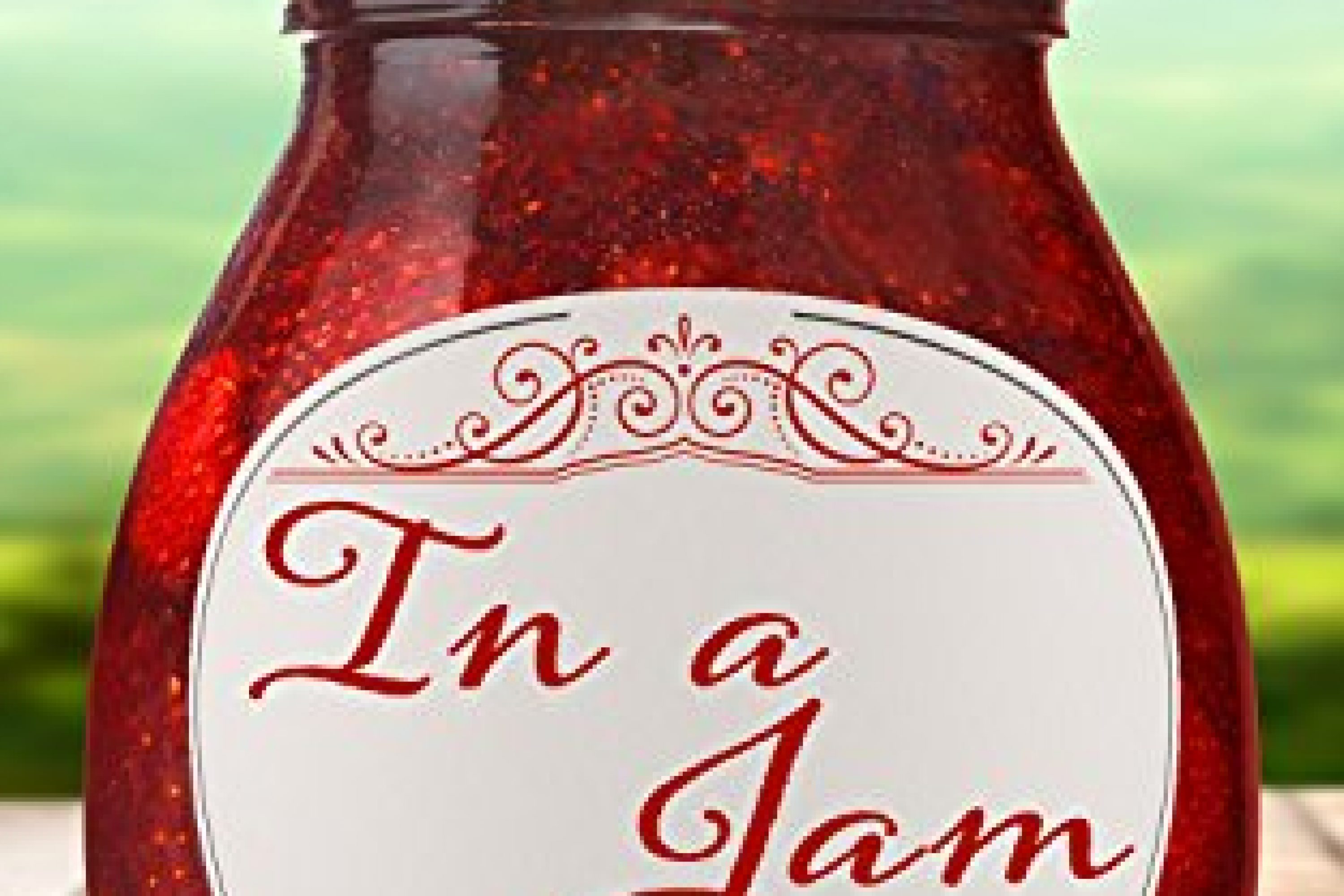 Review: In A Jam by Cindy Dorminy