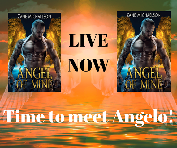 New Release Angel Of Mine By Zane Michaelson Love 4 Books 