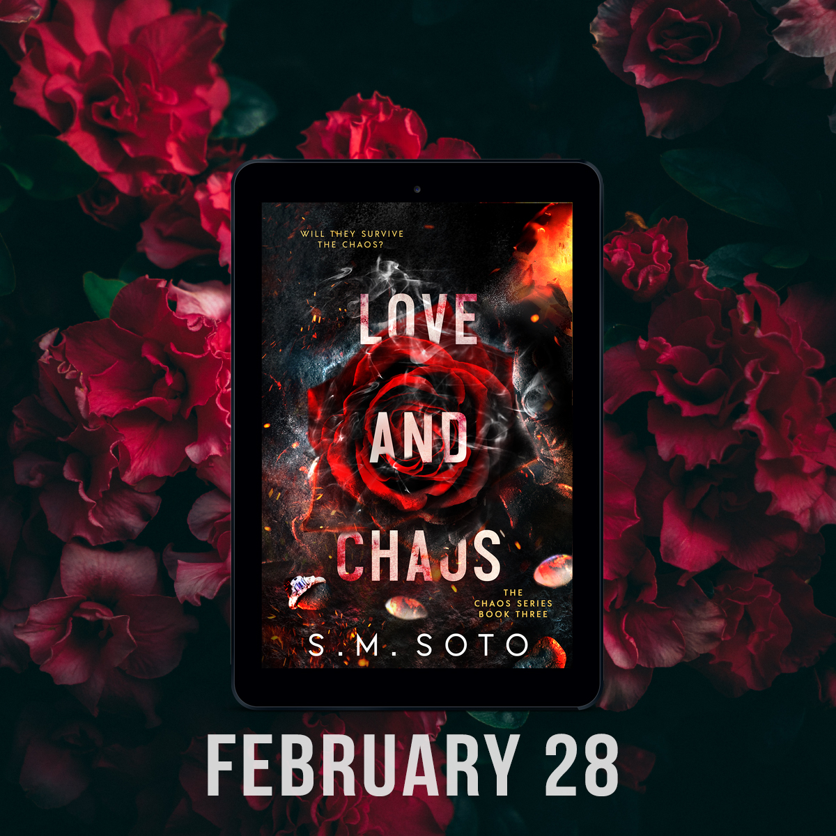 Coming Soon: Love and Chaos by S.M. Soto