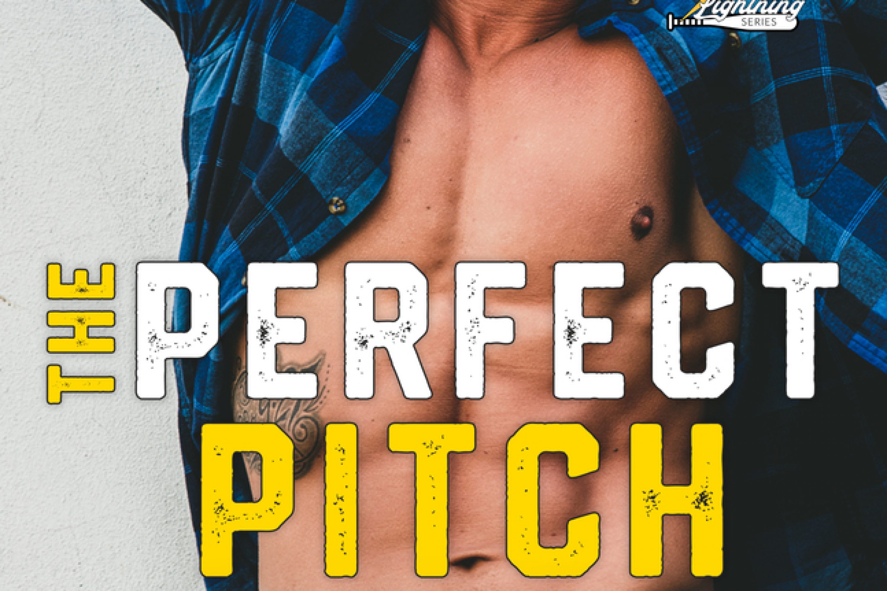 Review: The Perfect Pitch by Samantha Lind