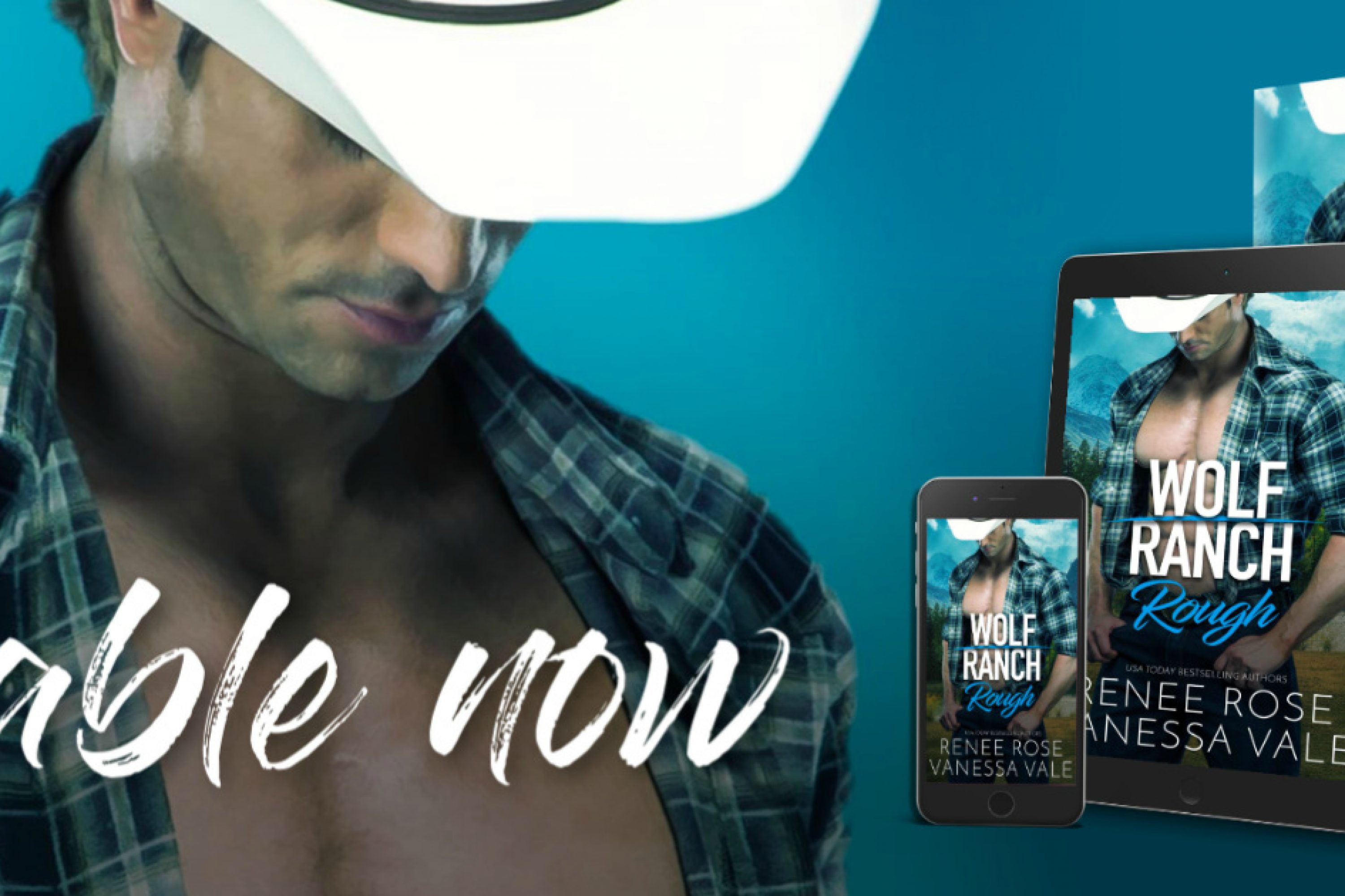Release Blitz: Rough by Renee Rose & Vanessa Vale