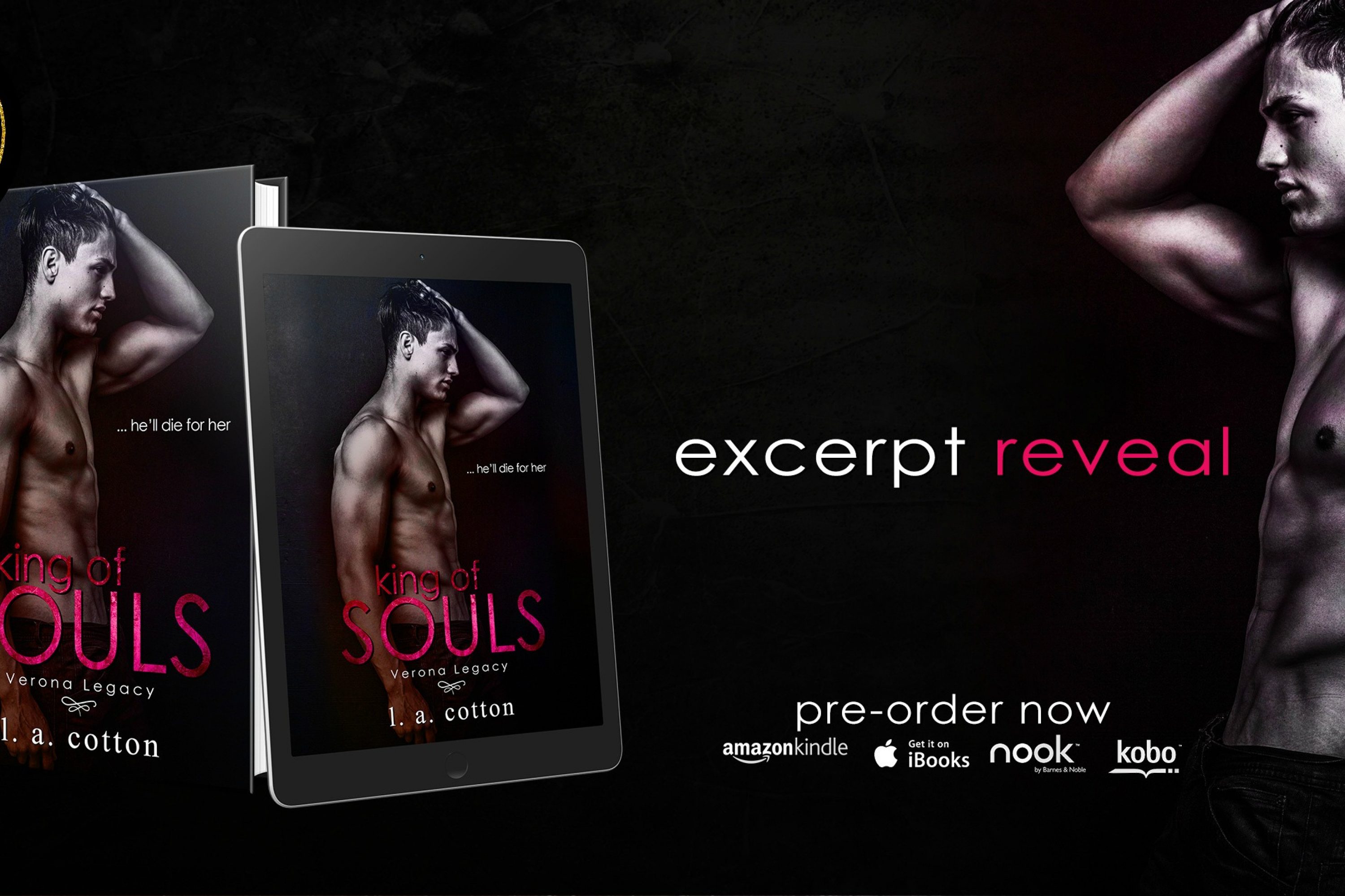 Excerpt Reveal: King of Souls by L. A. Cotton