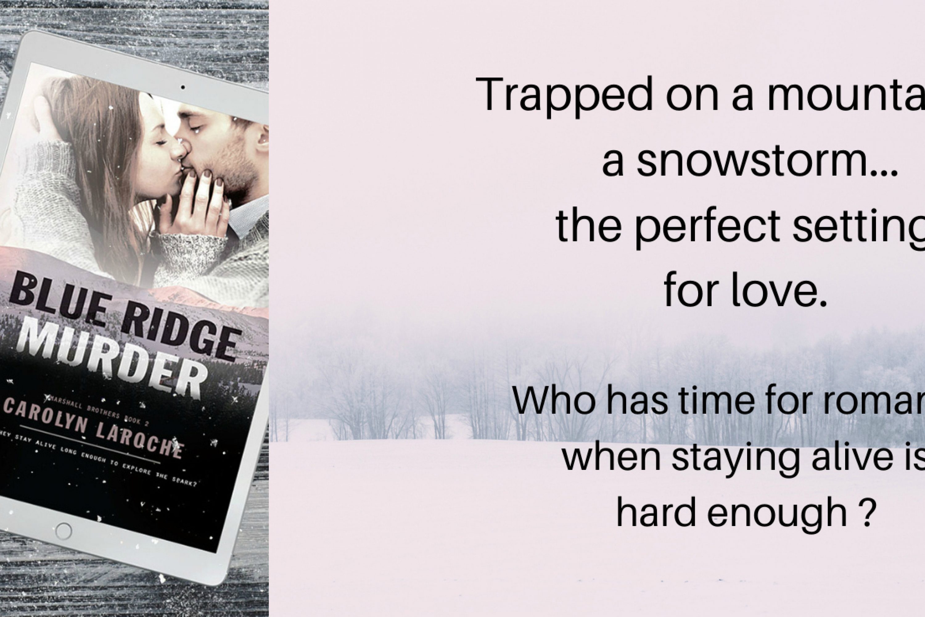 Release Blitz: Blue Ridge Murder by Carolyn LaRoche