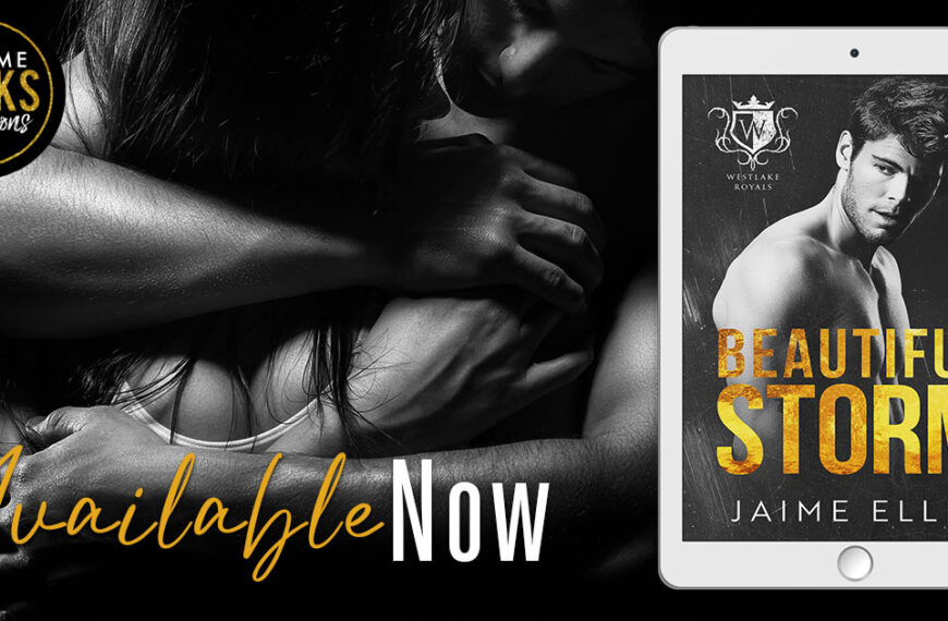 Release Blitz: Beautiful Storm by Jaime Ellis