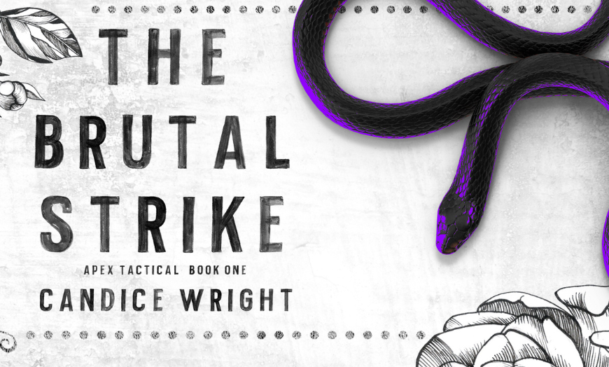 Release Blitz: The Brutal Strike by Candice Wright